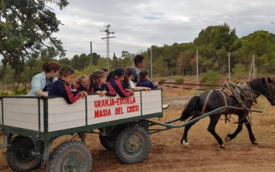 Nuestros alumnos de 1º y 2º en la Masía del Cossi