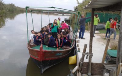 Un paseo en barca por la Albufera